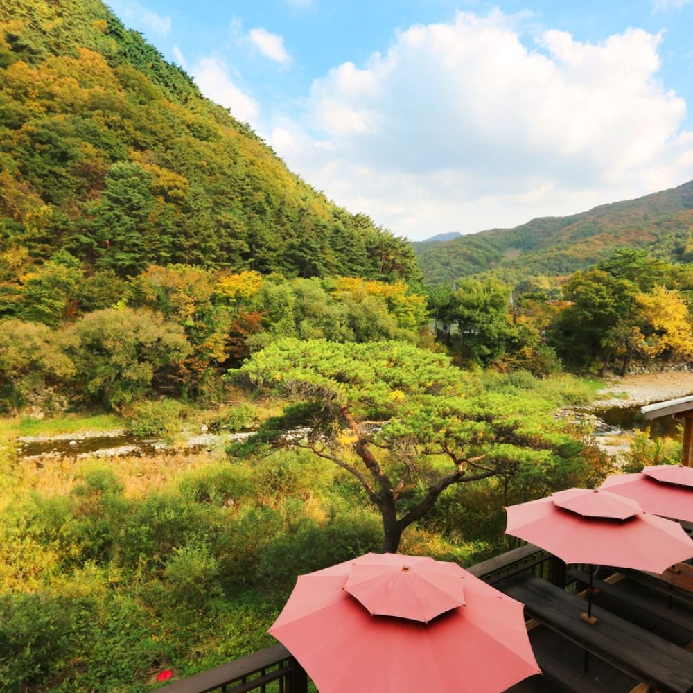 주변전경