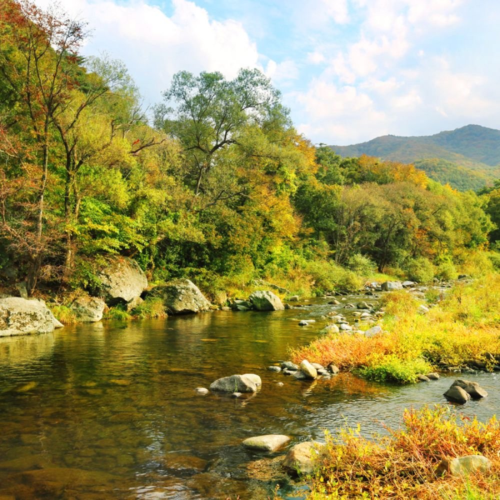 주변전경
